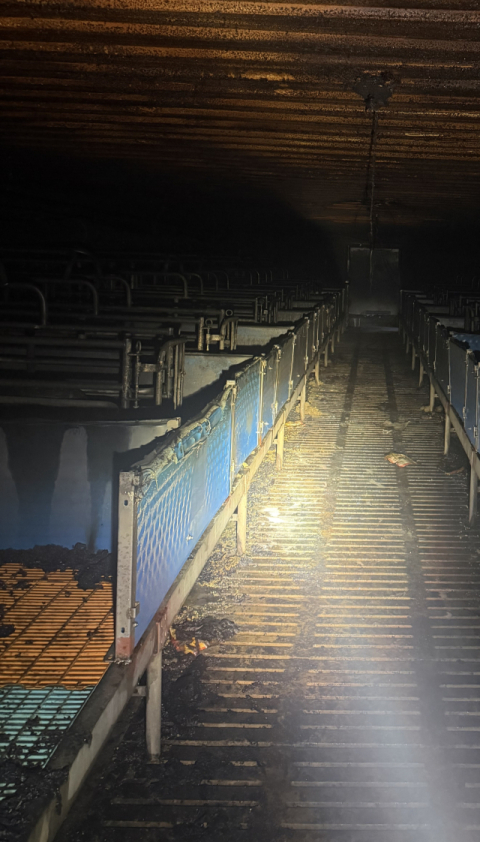 산청군 돈사 화재…돼지 189마리 폐사