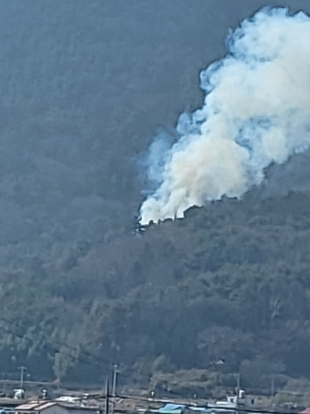 20일 낮 12시 25분 고성군 거류면 감서리 한 야산에서 산불이 발생해 1시간 17분 만에 진화됐다. 산림청 제공