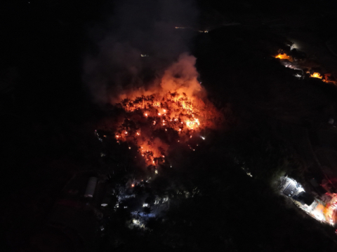울산 중구 성안동서 산불···3시간 30분 만에 진화