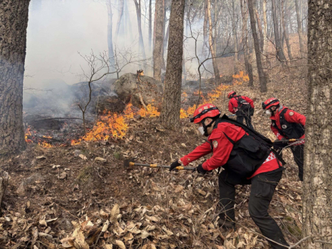 다시 살아나는 함양 산불…진화율 48%로 떨어져