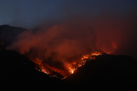 함양 산불 진화율 57%→47%…확산 방지 총력전