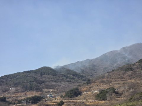 [속보] 함양 산불 진화율 83%…일몰 전 주불 진화 목표