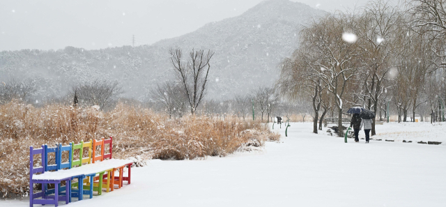 24일 대설주의보가 내려진 경남 거창군 남상면 거창창포원에 많은 눈이 내리고 있다. 봄부터 가을까지 형형색색의 꽃으로 물드는 거창창포원은 겨울이면 하얀 눈으로 뒤덮여 절경을 이룬다. 거창군은 이번 눈으로 대기의 메마름이 줄어들 것으로 기대하고 있다. 거창군 제공