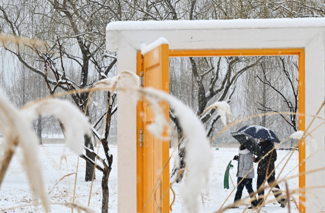 24일 대설주의보가 내려진 경남 거창군 남상면 거창창포원에 많은 눈이 내리고 있다. 봄부터 가을까지 형형색색의 꽃으로 물드는 거창창포원은 겨울이면 하얀 눈으로 뒤덮여 절경을 이룬다. 거창군은 이번 눈으로 대기의 메마름이 줄어들 것으로 기대하고 있다. 거창군 제공