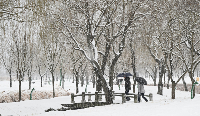 24일 대설주의보가 내려진 경남 거창군 남상면 거창창포원에 많은 눈이 내리고 있다. 봄부터 가을까지 형형색색의 꽃으로 물드는 거창창포원은 겨울이면 하얀 눈으로 뒤덮여 절경을 이룬다. 거창군은 이번 눈으로 대기의 메마름이 줄어들 것으로 기대하고 있다. 거창군 제공