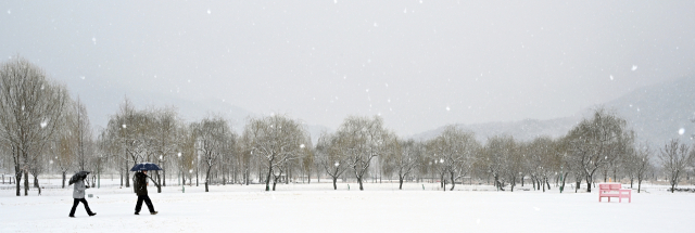 24일 대설주의보가 내려진 경남 거창군 남상면 거창창포원에 많은 눈이 내리고 있다. 봄부터 가을까지 형형색색의 꽃으로 물드는 거창창포원은 겨울이면 하얀 눈으로 뒤덮여 절경을 이룬다. 거창군은 이번 눈으로 대기의 메마름이 줄어들 것으로 기대하고 있다. 거창군 제공
