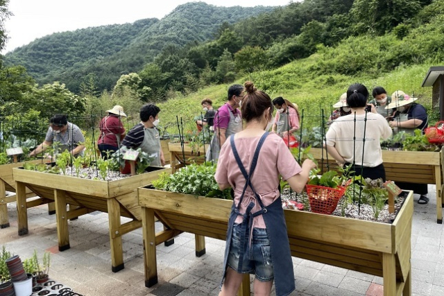 전북 완주에 있는 치유농업시설 드림뜰 힐링팜. 농진원 제공