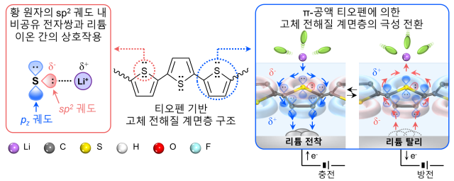 그림. 티오펜 첨가제의 전자 구조 설계 및 지능형 고체 전해질 계면층의 극성 전환 메커니즘. 리튬금속 표면에 형성된 티오펜 기반 계면층의 메커니즘을 보여주는 모식도임. 황(S) 원자의 sp2 궤도 내 비공유 전자쌍이 리튬 이온(Li+)을 효과적으로 당겨주는 상호작용을 유도함. 특히 &pi;-공액(&pi;-conjugated) 구조를 통해 리튬의 전착 및 탈리 방향에 따라 계면의 전하 분포를 스스로 바꾸는 극성 전환을 일으킴으로써 리튬 이온이 막힘없이 이동할 수 있는 지능형 통로 역할을 수행함. KAIST 제공