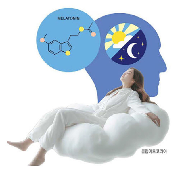 클립아트코리아