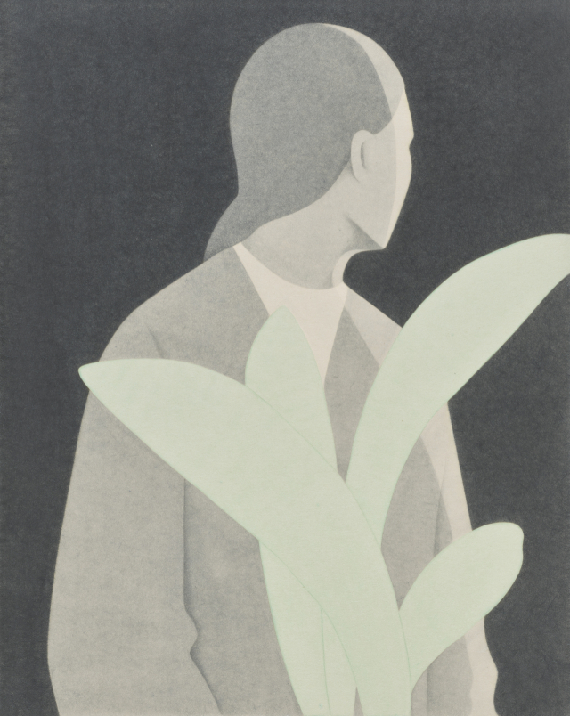 염지애, 선물받은 식물II, 2026. 갤러리 플레이리스트 제공