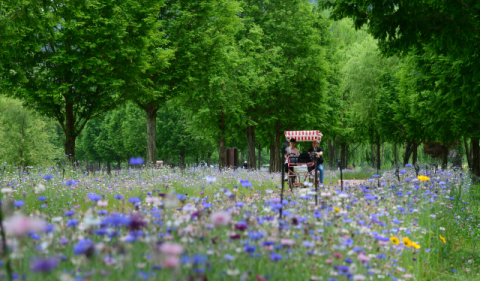 ‘인구감소’ 경남 5개 지자체 ‘반값여행’ 지원 사업 나선다