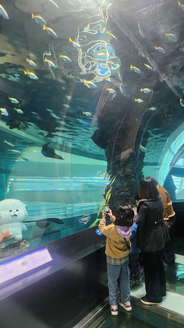 국립해양박물관. 김진성 기자