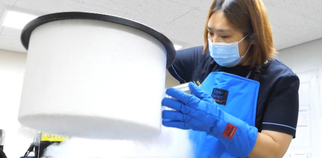 동아대병원 세포보관실에서 재생의료에 사용될 세포를 액체질소 저장탱크에 보관하는 장면. 동아대병원 제공