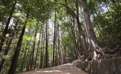 부산 걷기 여행길 ‘갈맷길’ 명소화 작업 본격 추진