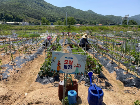 “실패 없는 귀농, 김해서 미리 경험해요!”