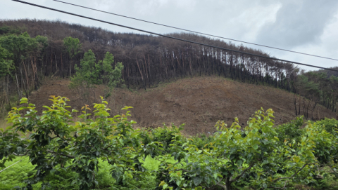 산청 산불 1년…여전히 복구 진행 중