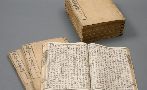 세계인의 관심, 부산박물관으로 향하다