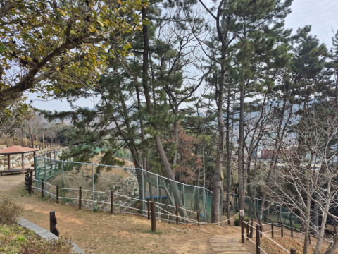 “사슴 찾습니다” 재난 문자 발송한 통영시…무슨 일?