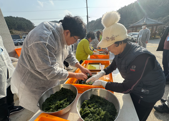 지난해 11월 충남 서산시 중리마을에서 진행한 ‘충남 귀어귀촌 정착실습’ 4차 교육에 참가한 도시민들이 마을 주민의 지도에 따라 감태 뜨기 실습 중이다. 어촌어항공단 제공