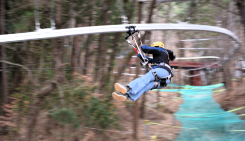 거제포로수용소유적공원 롤러코스터 집라인 재개장