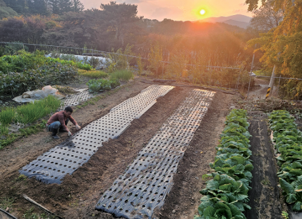 자신의 텃밭에서 농사짓는 강철원 사육사 모습. 한스미디어 제공
