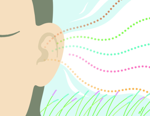 [공감] 소리를 듣다