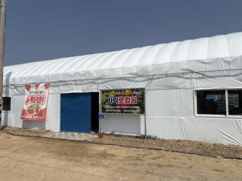 베토벤 운명 듣는 짭짤이 토마토