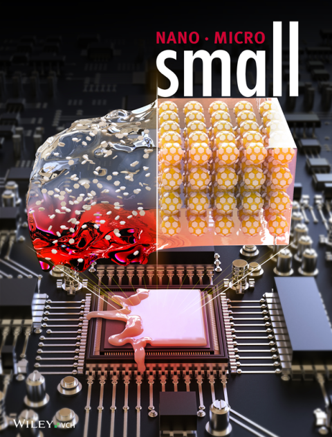 표지 논문 이미지.