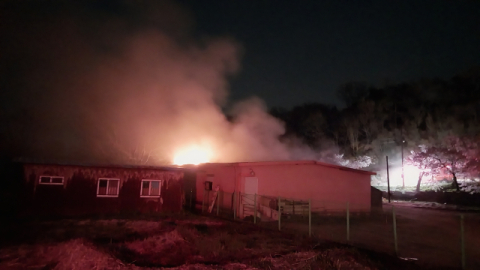 합천·함안서 축사 화재 잇따라…돼지 100마리 폐사·1명 화상