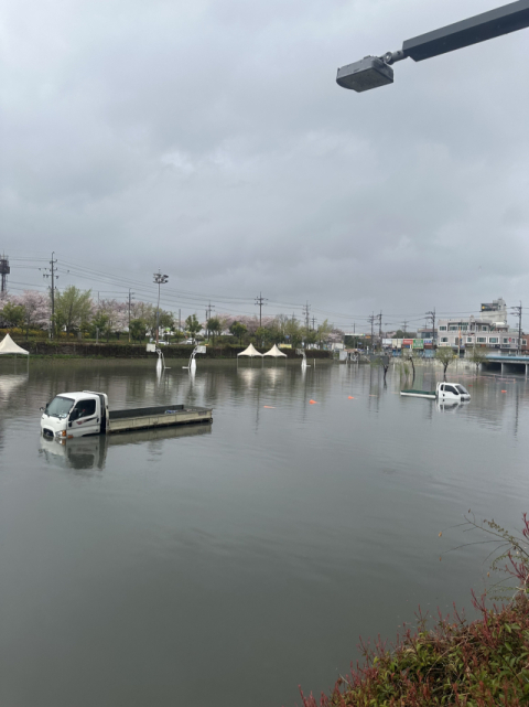 강풍에 김해공항 결항 잇따라…부산 삼락천에서 차량 4대 침수