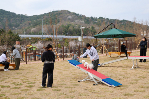 김해 첫 반려동물 테마파크 ‘댕댕파크’ 개장
