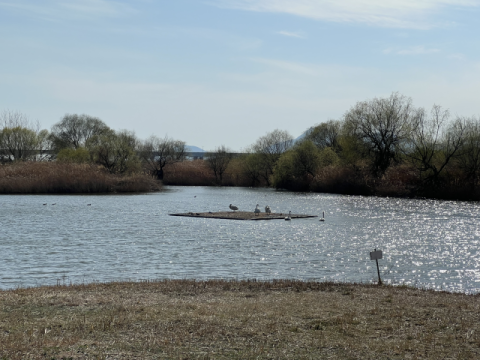 을숙도 생태공원 전경.