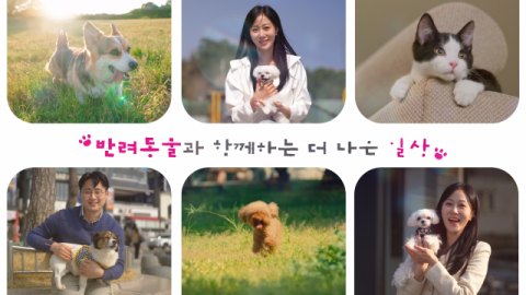 부산시, '반려동물 일상의 돌봄' 캠페인 전개