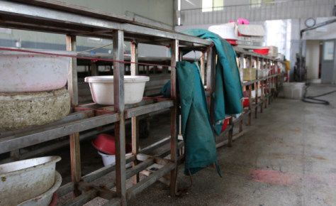 “값도 좋고 팔 데도 많은데” 경남 굴 업계 눈물의 시즌 조기 종료