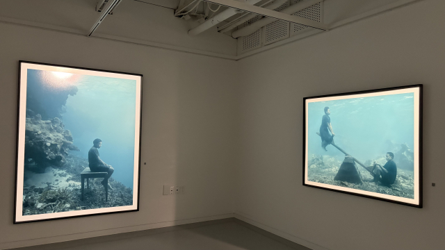 닉 브란트 작품. 김은영 기자 key66@