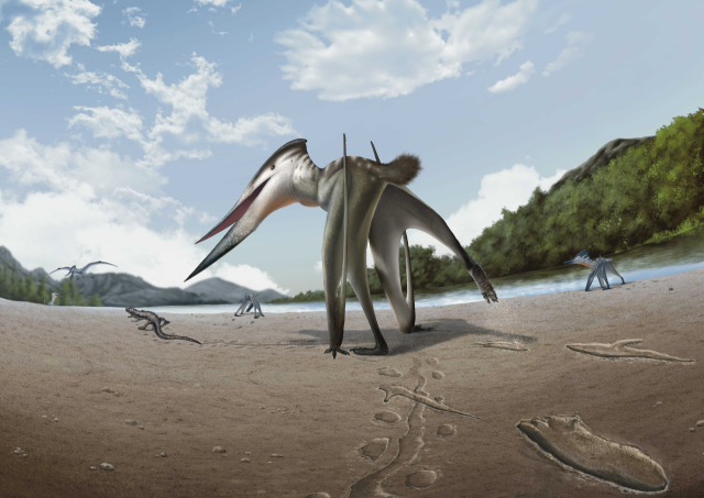 진주 익룡 복원도. 김경수 교수 제공