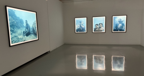 금정문화회관 금샘미술관 기획 전시 ‘지구 앞에 서다_위태로운 경계에서’ 선보인 닉 브란트(Nick Brandt)의 작품들. 피지에서 수중 촬영한 것들이다. 김은영 기자 key66@