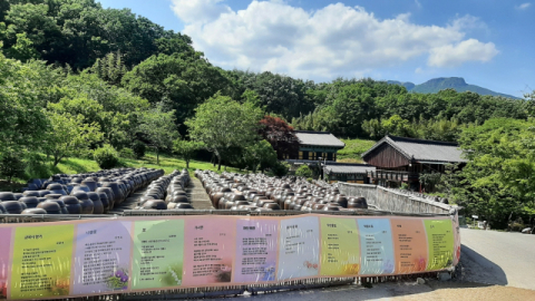 24회 들꽃축제·16회 전국문학인 꽃 축제 25일 통도사 서운암