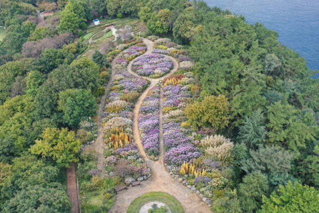 돝섬 정상부 초화원 조성 조감도. 창원시 AI활용 이미지