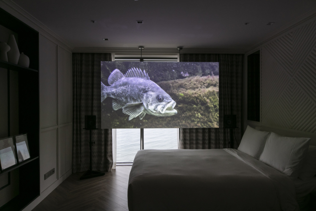 마이어리거울프에서 선보인 클레멘스 폰 베데마이어 작가의 '서피스 컴포지션'(Surface Composition), 비디오 스틸, 22분, 2024년. 루프 플러스 제공