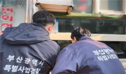 BTS 공연 앞둔 부산, 먹거리 특사경 가동한다