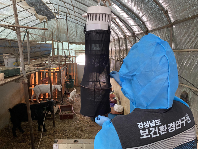 4일 경남도 보건환경연구원은 지난 달 27일 도내 처음으로 일본뇌염 매개모기가 채집됐다고 밝혔다. 경남도 제공