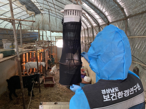 경남 일본뇌염 매개모기 첫 발생