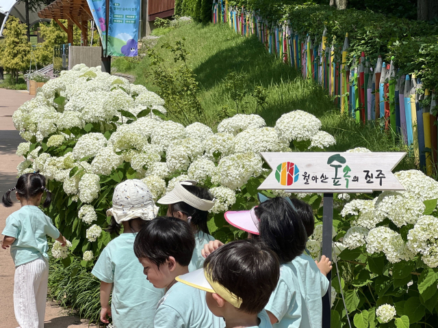 월아산 숲속의 진주는 다음 달 ‘2026년 진주 정원박람회’와 ‘수국수국 페스티벌’ 개최를 앞두고 있어 더욱 많은 방문객의 발길이 이어질 것으로 기대된다. 진주시 제공