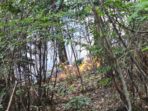 동매산 이어 해운대 장산서도 산불… 약 1시간 40분 만에 진화