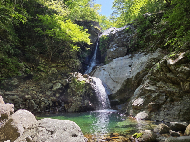 설악산 천불동계곡, 한라산 탐라계곡과 함께 우리나라 3대 계곡에 꼽히는 지리산 칠선계곡에 봄의 생명력이 가득 차올랐다. 계곡을 따라 흐르는 맑은 물소리와 연둣빛으로 물든 숲, 웅장한 기암괴석과 폭포가 지리산 특유의 아름다운 자연경관을 그대로 보여주고 있다. 한편 칠선계곡은 일부 구간이 특별보호구역으로 지정돼 있어 매년 5월부터 10월까지 사전 예약을 통해 탐방할 수 있다. 함양군 제공