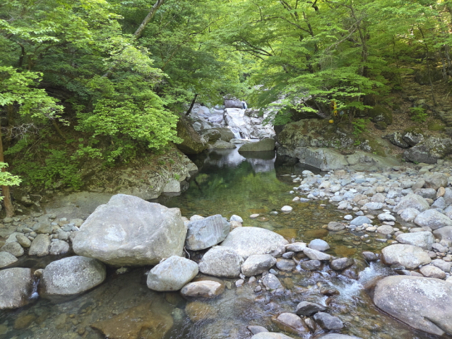 설악산 천불동계곡, 한라산 탐라계곡과 함께 우리나라 3대 계곡에 꼽히는 지리산 칠선계곡에 봄의 생명력이 가득 차올랐다. 계곡을 따라 흐르는 맑은 물소리와 연둣빛으로 물든 숲, 웅장한 기암괴석과 폭포가 지리산 특유의 아름다운 자연경관을 그대로 보여주고 있다. 한편 칠선계곡은 일부 구간이 특별보호구역으로 지정돼 있어 매년 5월부터 10월까지 사전 예약을 통해 탐방할 수 있다. 함양군 제공