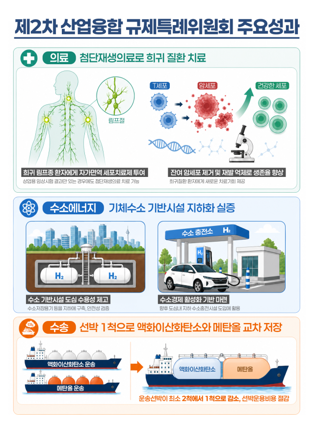 제2차 산업융합 규제특례심의위원회 규제성과 인포그래픽. 산업통상부 제공